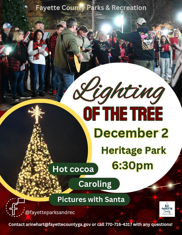 Tree Lighting